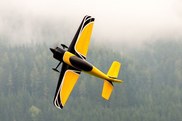 Aircraft - Model Aircraft - low wing aerobatics - Photo, Image