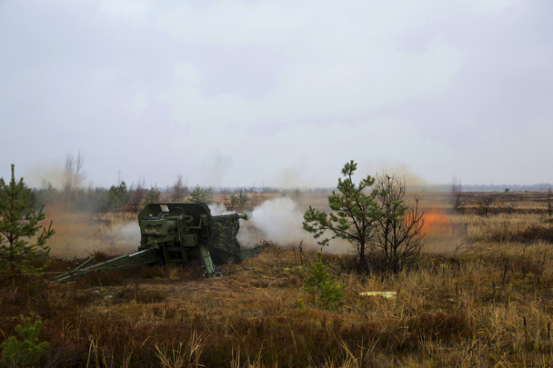 Shot of artillery fire with flash - Photo, Image