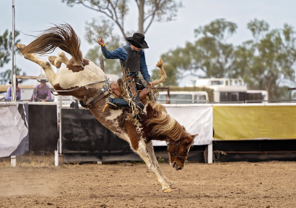 Cowboy cavalcando un bronco in controtendenza a un rodeo paese Australia - Foto, immagini