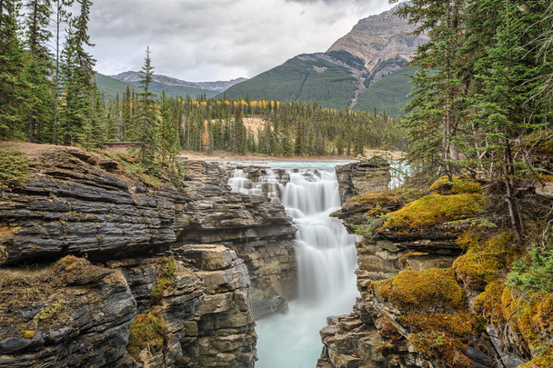 Nature Canada - Фото, изображение