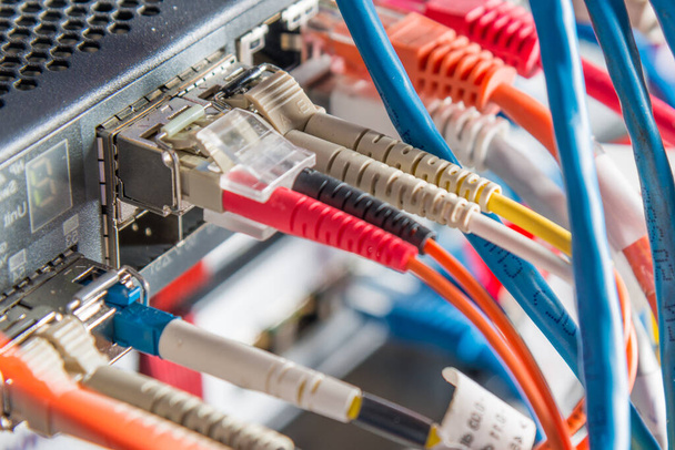 Detail serveru se záplatovými kabely zapojenými do ethernetových portů - Fotografie, Obrázek