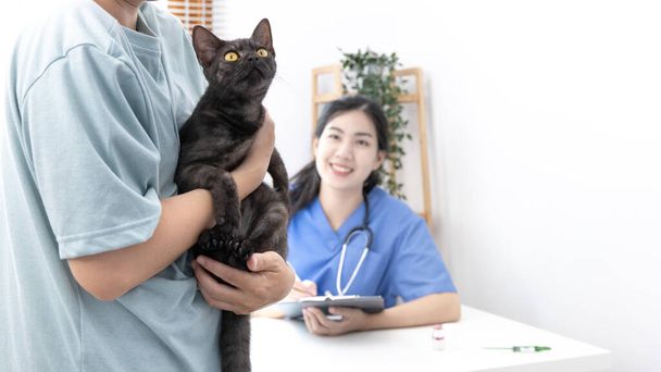 Tierarzt oder Tierkrankenschwester überprüft den Gesundheitszustand der Katze und berät Tierbesitzer hinsichtlich der Gesundheit der Katze im Krankenhaus, Tiere retten, Pflege und Behandlung, Tierkrankenhaus. - Foto, Bild