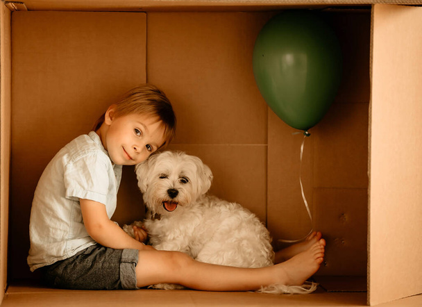 Cute toddler child and maltese pet dog, hiding in cardboard box, playing together - Valokuva, kuva