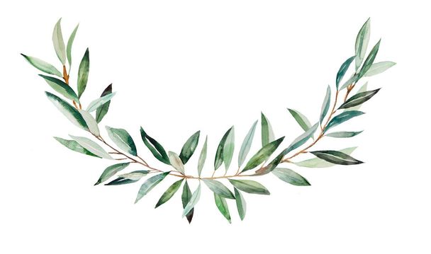 緑の葉のイラストが孤立したオリーブの枝で作られた水の色の花輪。結婚式のデザインのためのエレガントな緑のフレーム、グリーティングカード。平和と純潔、勝利と達成の象徴 - 写真・画像