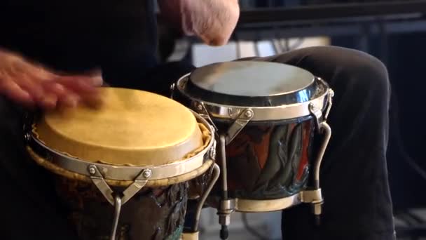 A man plays the bongo drums.  - Footage, Video