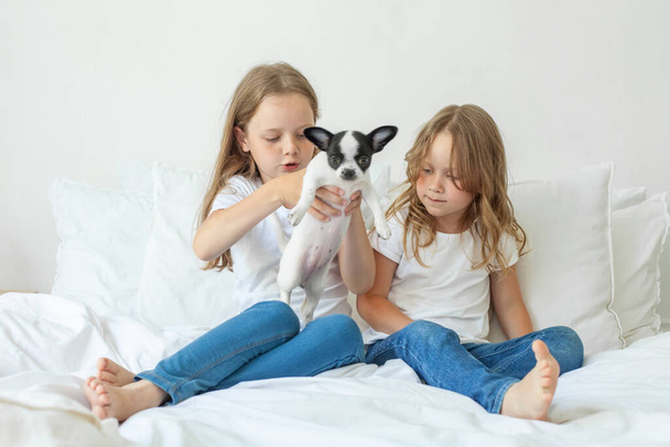 little sisters with puppy dog pet playing together at home - Foto, Imagen