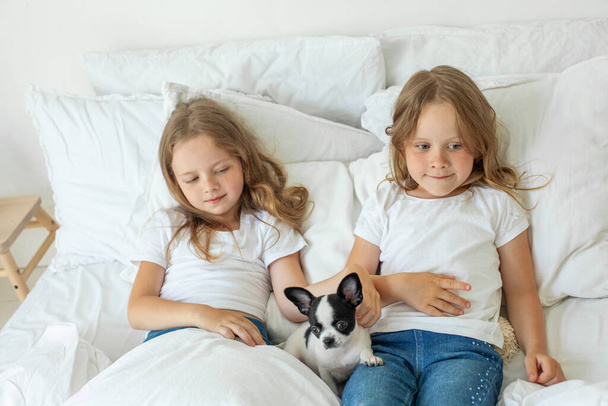 Lächelnd verspielt süße kleine Mädchen mit kleinem Hund im Schlafzimmer auf dem Bett zu Hause - Foto, Bild