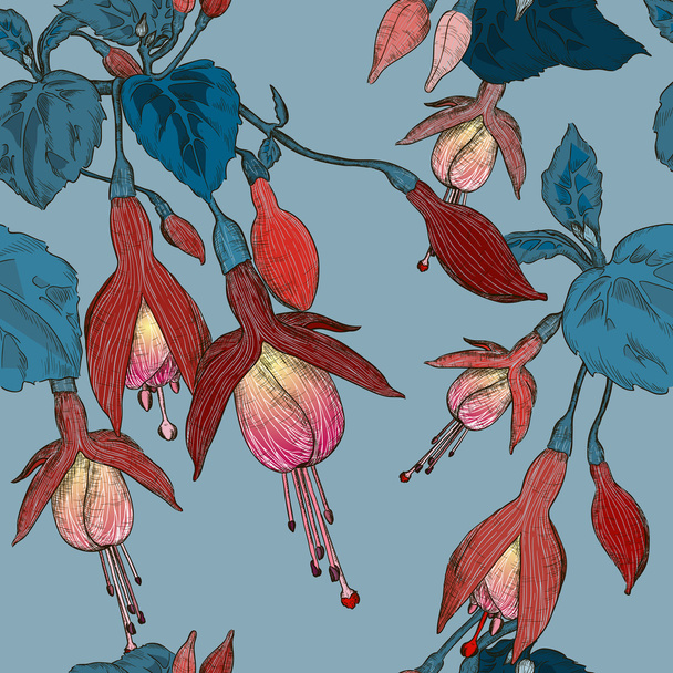 Modèle sans couture vectoriel avec fleur de fuchsia
 - Vecteur, image
