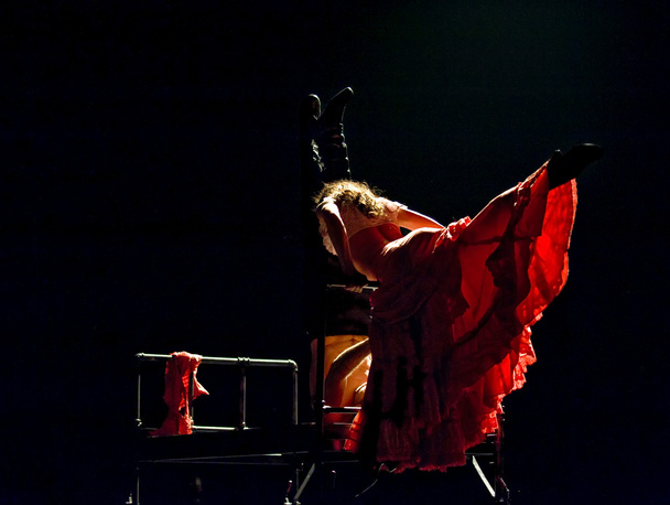 The Flamenco Dancer - Foto, Imagem
