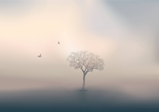 During the winter season, the sun rises over a countryside landscape, with the only decoration of a leafless tree lost in the mist. - Vector, Image