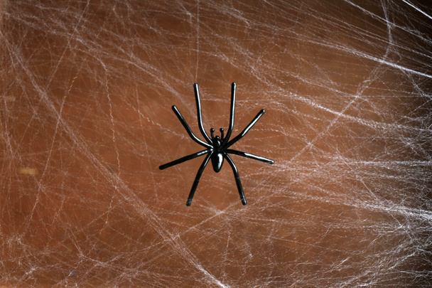 Cobweb with spider on wooden background - Fotografie, Obrázek