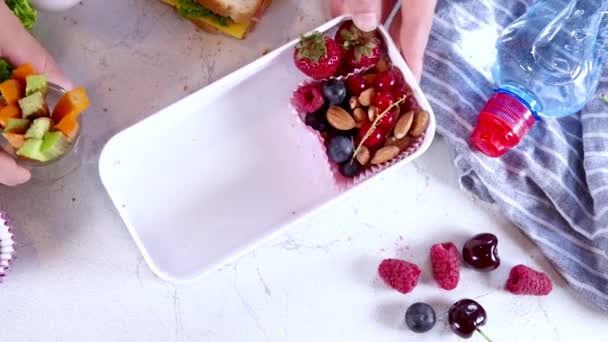 Back to school. Mother female hands making kids school lunch box with fresh fruits, berry, yogurt, healthy sandwich, vegetable snacks. White kitchen marble table copy - Footage, Video