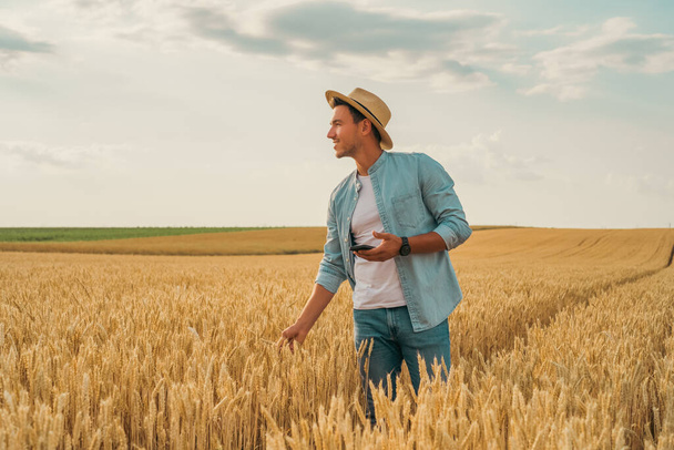 Landwirt benutzt Handy während er in seinem wachsenden Weizenfeld steht. - Foto, Bild