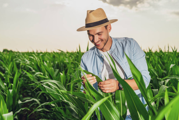 Χαρούμενος αγρότης στέκεται στο χωράφι του με το καλαμπόκι και εξετάζει καλλιέργειες . - Φωτογραφία, εικόνα