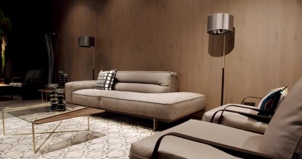 Canapé moderne en tissu gris et beige. Canapé rembourré textile avec oreillers. Appartement moderne beau canapé beige dans le salon moderne avec lampe et tapis, table. Intérieur scandinave avec mur en bois - Séquence, vidéo