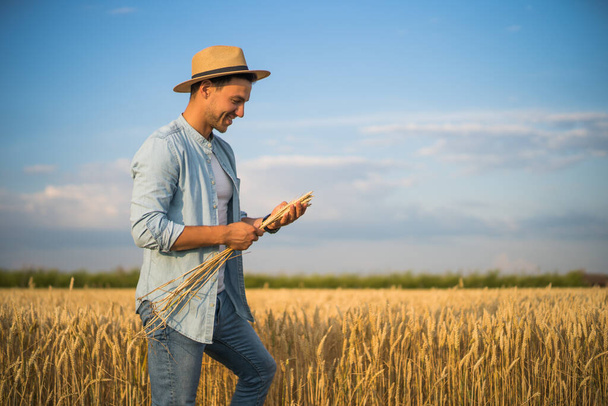 agricultor feliz está de pé em seu campo de trigo em crescimento e examinando as culturas após a semeadura bem sucedida. - Foto, Imagem