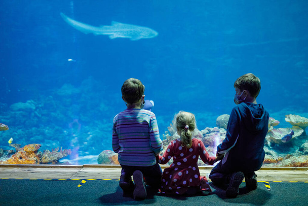 Два мальчика и малышка, посещающие вместе аквариум зоопарка. Трое детей смотрят рыб и медуз. Школьники в медицинских масках из-за пандемии коронного вируса. Семья на проживании. - Фото, изображение