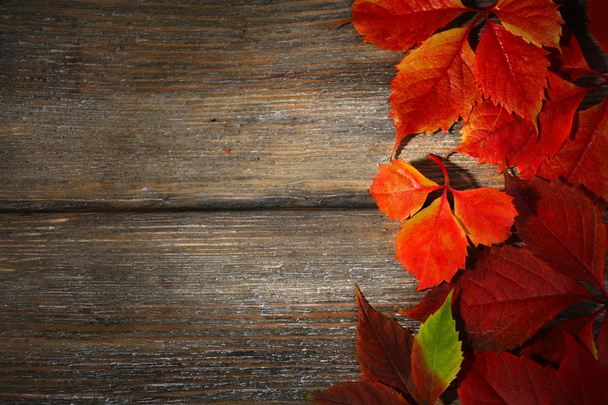 Autumn leaves on wood - Foto, afbeelding