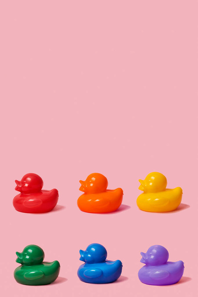 some rubber ducks, with the colors of the rainbow flag, on a pink background, with some blank space on top - Valokuva, kuva