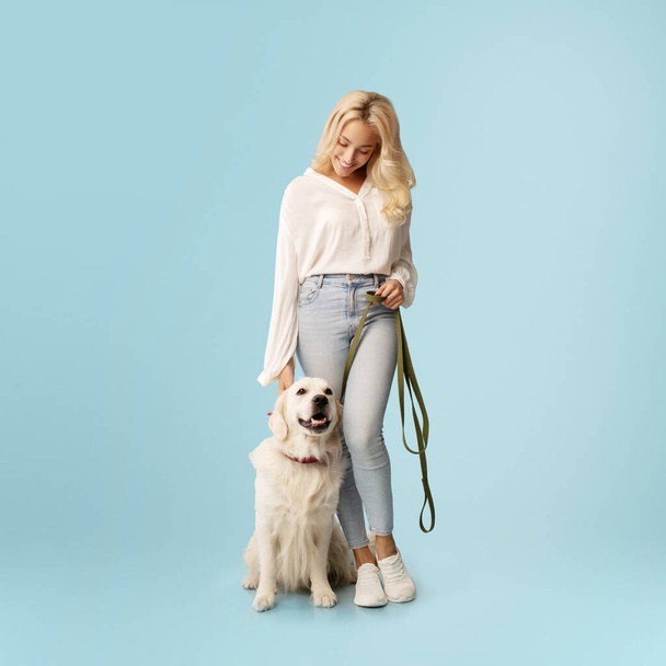 Arkadaşlık kavramı. Mutlu kadın tasmalı mutlu labrador köpeği ile poz veriyor, mavi stüdyo arka plan duvarında duran hayvanına bakıyor, tüm vücut uzunluğu - Fotoğraf, Görsel