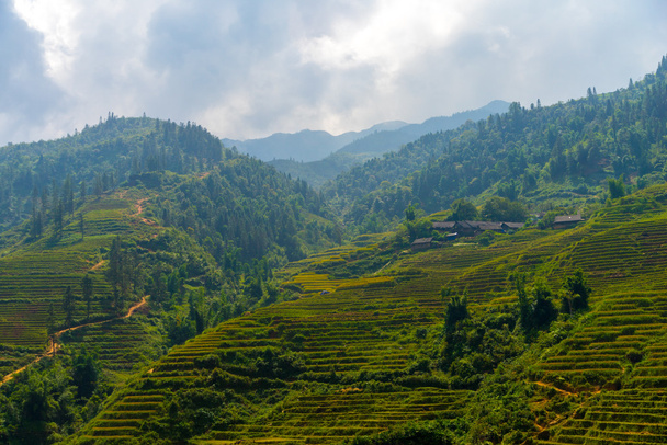 Beautiful View of mountains contain terraced fields - Photo, Image