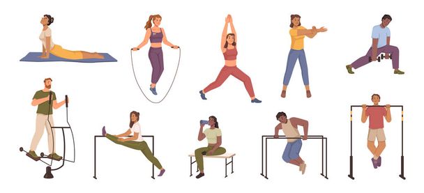 Men and women doing sports outside, isolated male and female working out. Exercises for body health and strength, yoga and stretching. Flat cartoon character, vector illustration - Vector, Image