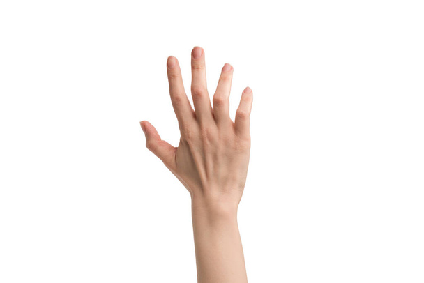 Mulher mão isolada em um fundo branco
.  - Foto, Imagem