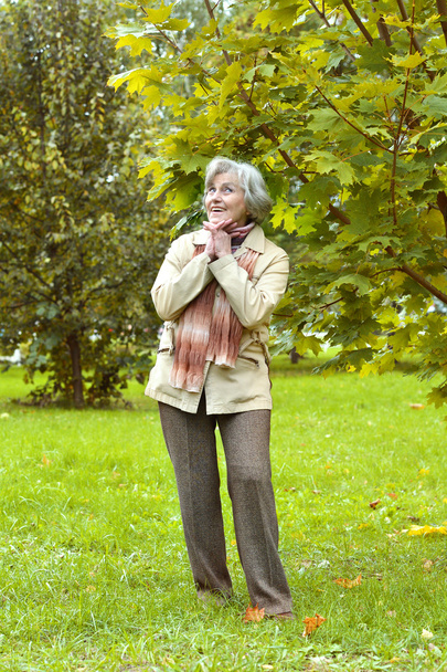Senior woman on a walk - Foto, Imagem