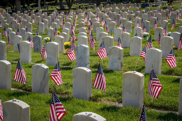 Military grave markers decorated with American flags for Memorial Day - Foto, afbeelding