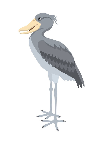 Shoebill stork or Balaeniceps rex isolated on a white background. Vector illustration in flat style - Vector, afbeelding