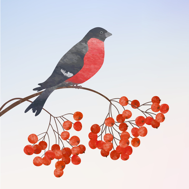 Winter background with bullfinch - Vector, Image