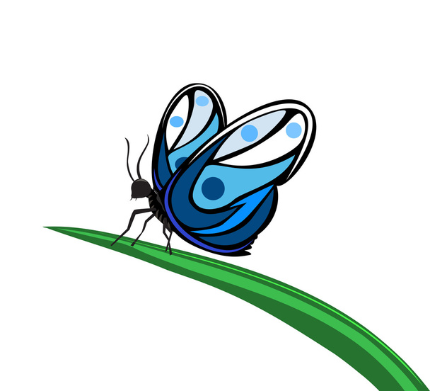 vlinder op blad - Vector, afbeelding