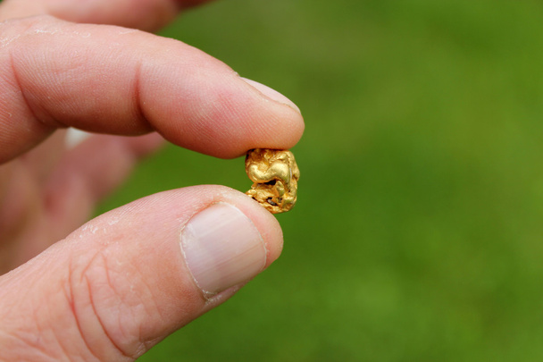 Золотой самородок, золотой кусок
 - Фото, изображение