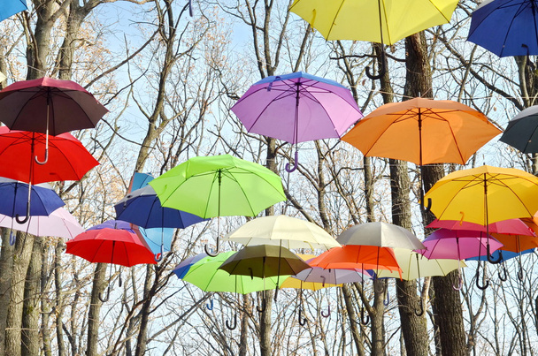 Muitos guarda-chuvas pendurados nas árvores. Liberdade
. - Foto, Imagem