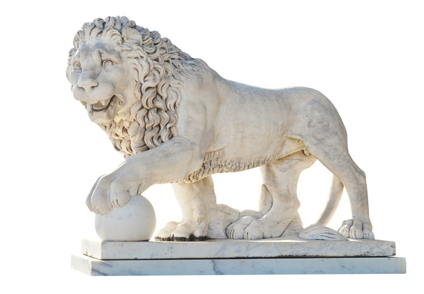 Лев ізольований на білому тлі
 - Фото, зображення