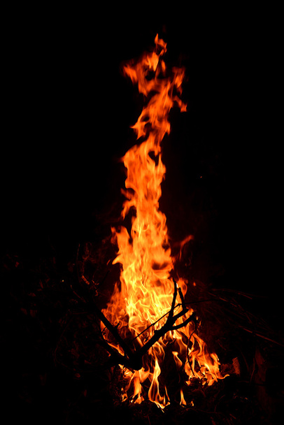 Orange fire flames - Zdjęcie, obraz