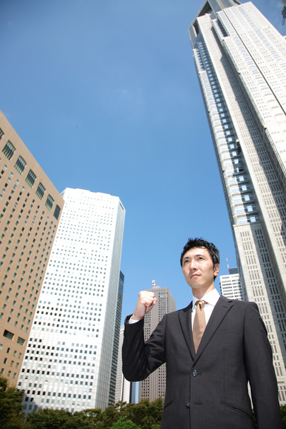 Japanese businessman in a victory pose - Foto, Imagem