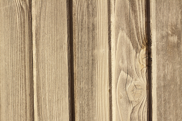 Wood Texture - 写真・画像