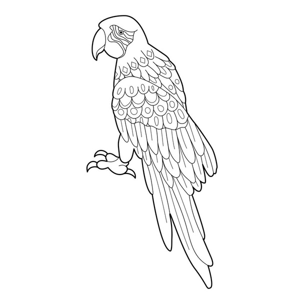 Contour linear illustration for coloring book with decorative parrot. Beautiful bird, anti stress picture. Line art design for adult or kids in zen-tangle style, tatoo and coloring page. - Vettoriali, immagini
