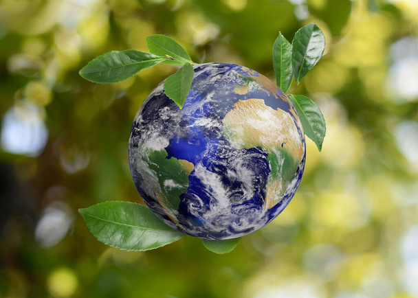 Recycling concept. Earth planet with green leaves on blurred background - Photo, image
