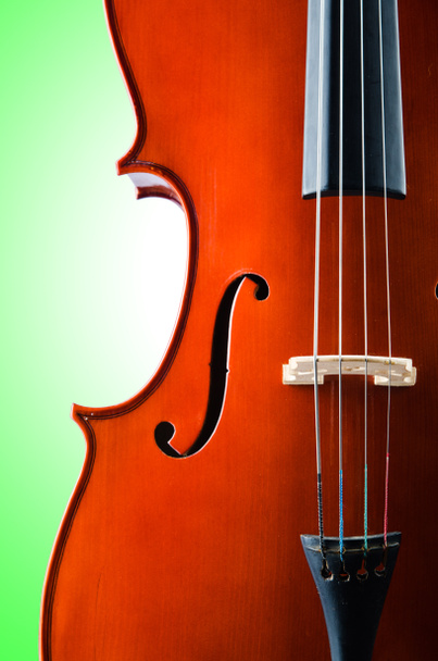 白い背景で隔離のヴァイオリン - 写真・画像