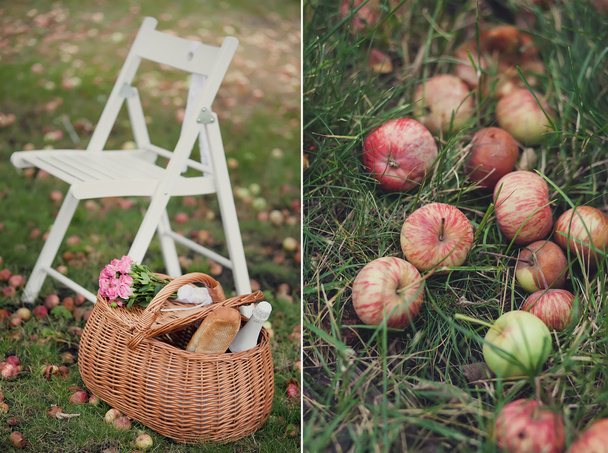 καρέκλα κήπου στο γκαζόν και μήλα πεσμένα - Φωτογραφία, εικόνα