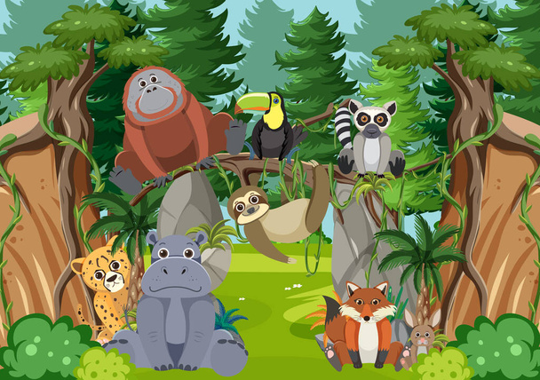 Animaux sauvages dans la forêt illustration
 - Vecteur, image