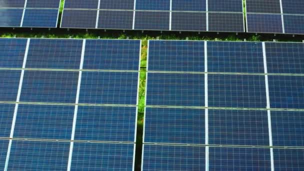 Solar panels installed on electrical station field on sunny day in countryside. Green energy produced by modern photovoltaic solar cells close aerial view - Footage, Video