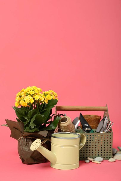 Herramientas y accesorios de jardinería sobre fondo rosa - Foto, Imagen