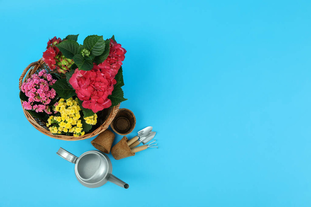 Gardening tools and accessories on blue background - Photo, Image