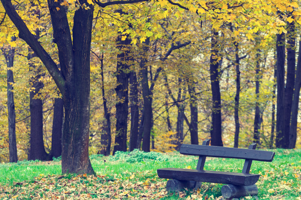 Lavička v podzimním parku, retro vzhled - Fotografie, Obrázek