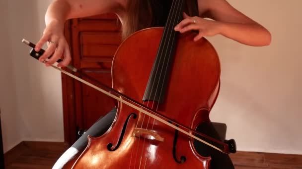 Молодая женщина практикует виолончель в классе - Кадры, видео