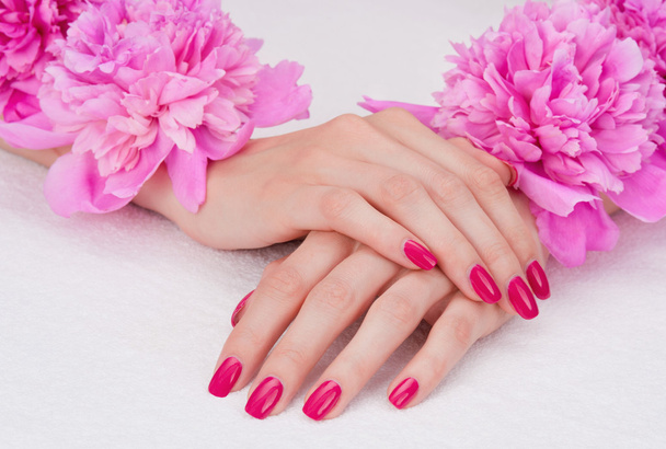 Pink manicure and flowers - Foto, immagini