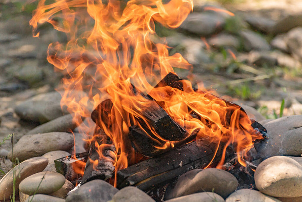 Bonfire in nature on a windy summer day - Фото, зображення